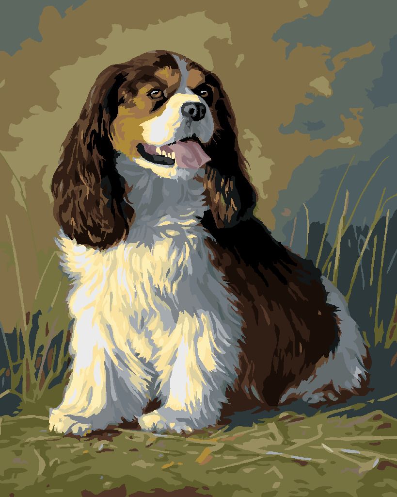zuty Malování podle čísel – KAVALÍR KING CHARLES ŠPANĚL (JAMES HAUTMAN) - Rozměr: 40x50 cm, Rámování: Varianta: vypnuté plátno na rám - obrázek 8