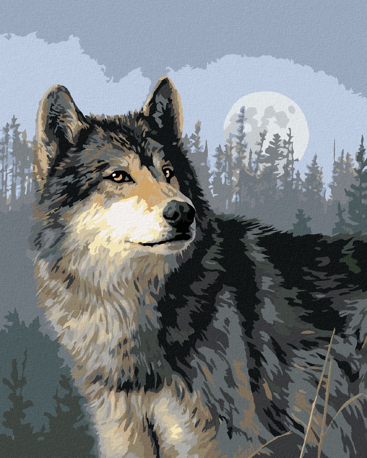 zuty Malování podle čísel – VLK, LES A ÚPLŇĚK (JAMES HAUTMAN) - Rozměr: 40x50 cm, Rámování: Varianta: bez rámu a bez vypnutí plátna - obrázek 1