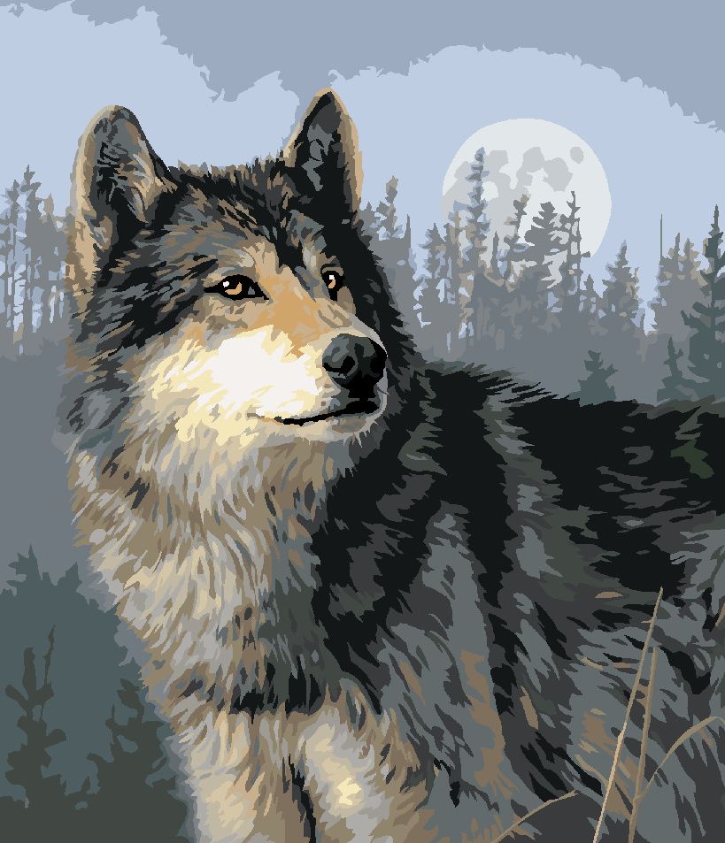 zuty Malování podle čísel – VLK, LES A ÚPLŇĚK (JAMES HAUTMAN) - Rozměr: 40x50 cm, Rámování: Varianta: bez rámu a bez vypnutí plátna - obrázek 9