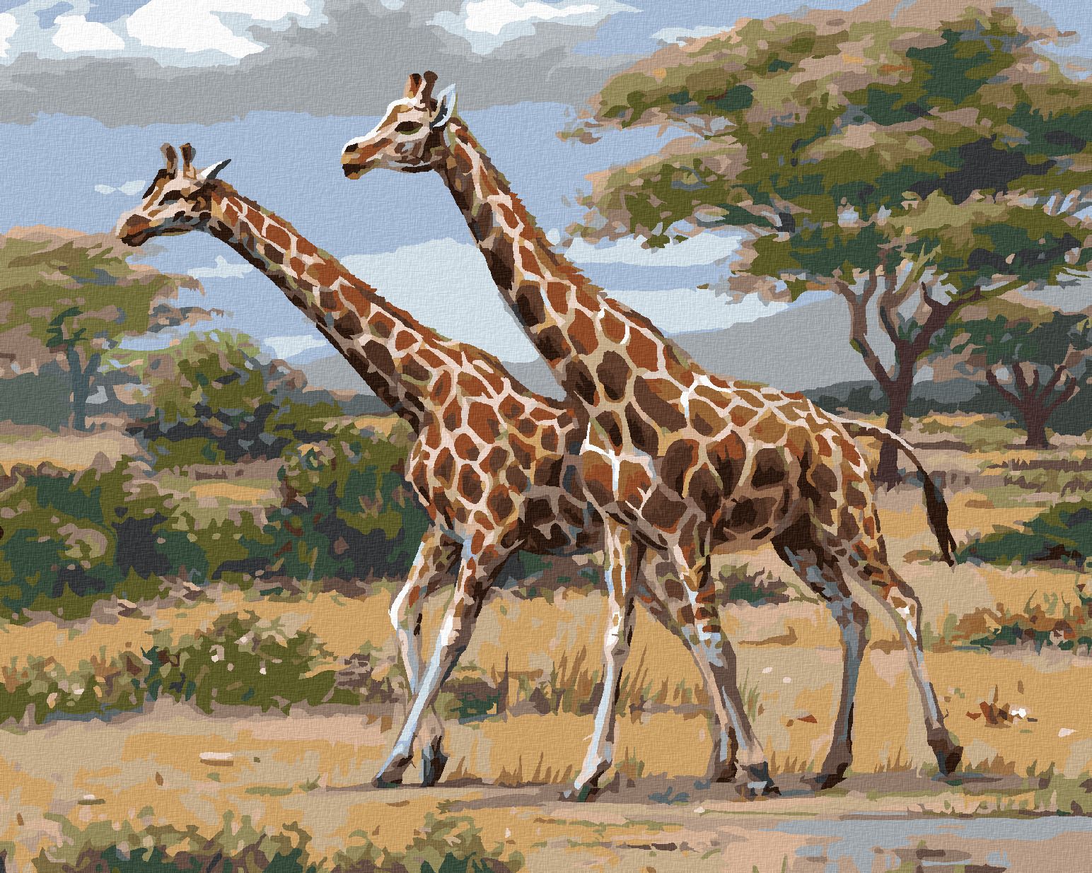 zuty Malování podle čísel - AFRICKÉ SAFARI ŽIRAFY (JOE HAUTMAN) - Rozměr: 40x50 cm, Rámování: Varianta: bez rámu a bez vypnutí plátna - obrázek 1
