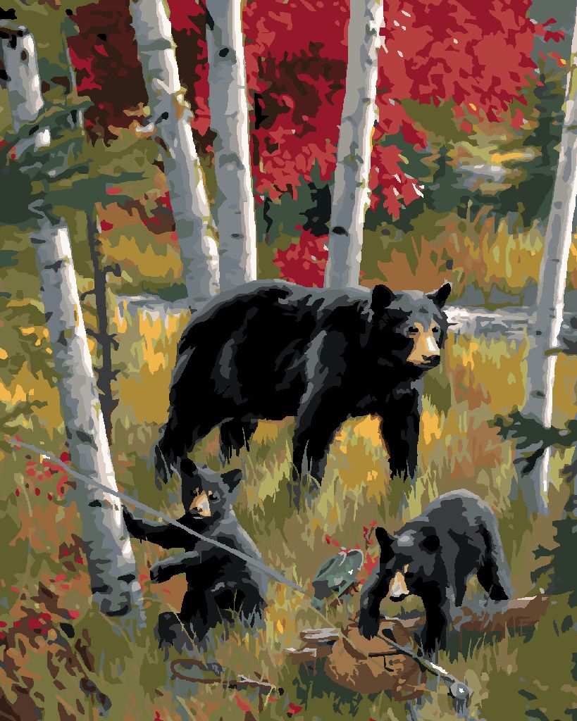 zuty Malování podle čísel – ČERNÝ MEDVĚD S MLAĎATY A BŘÍZY (JOE HAUTMAN) - Rozměr: 40x50 cm, Rámování: Varianta: vypnuté plátno na rám - obrázek 8