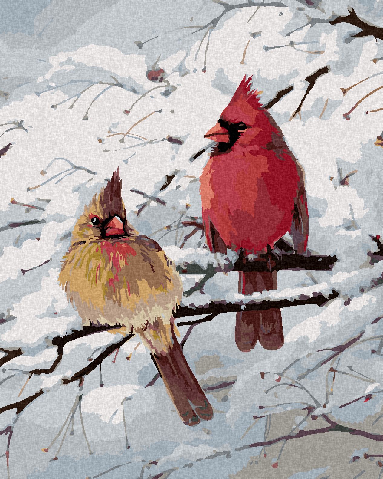zuty Malování podle čísel – PTÁK KARDINÁL A ZASNĚŽENÁ VĚTEV (JOE HAUTMAN) - Rozměr: 40x50 cm, Rámování: Varianta: vypnuté plátno na rám - obrázek 1