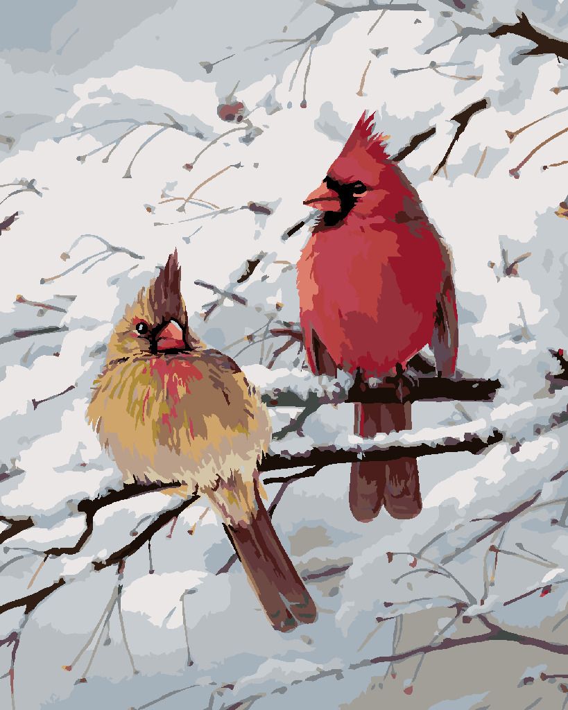 zuty Malování podle čísel – PTÁK KARDINÁL A ZASNĚŽENÁ VĚTEV (JOE HAUTMAN) - Rozměr: 40x50 cm, Rámování: Varianta: vypnuté plátno na rám - obrázek 5