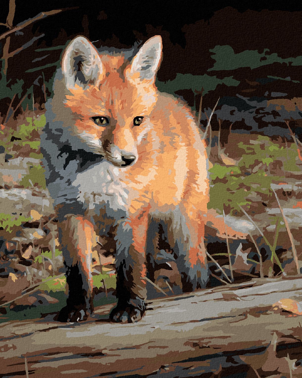 zuty Malování podle čísel – MLÁDĚ LIŠKY (JOE HAUTMAN) - Rozměr: 40x50 cm, Rámování: Varianta: vypnuté plátno na rám - obrázek 1