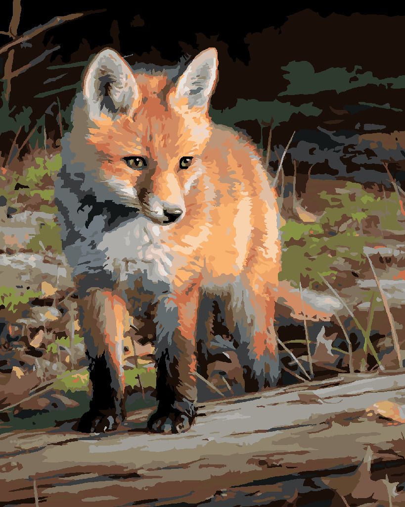 zuty Malování podle čísel – MLÁDĚ LIŠKY (JOE HAUTMAN) - Rozměr: 40x50 cm, Rámování: Varianta: vypnuté plátno na rám - obrázek 8