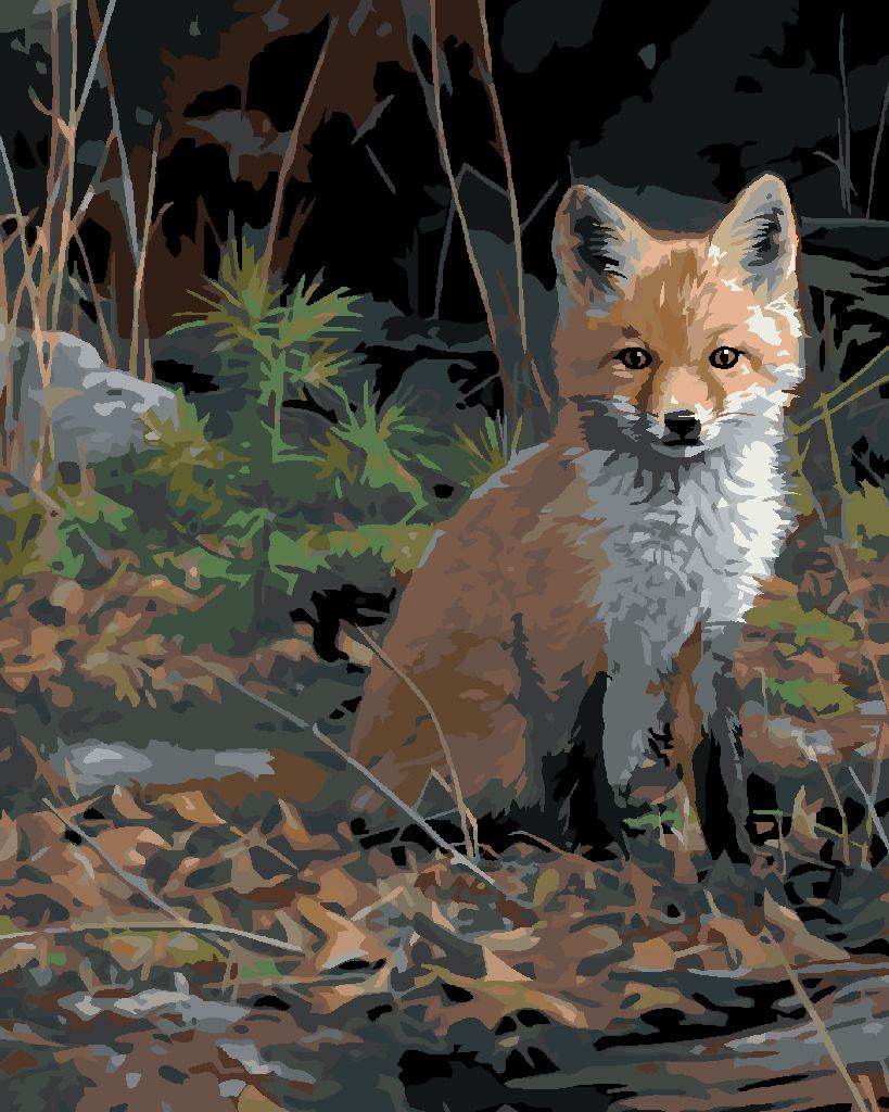 zuty Malování podle čísel – SEDÍCÍ MLÁDĚ LIŠKY (JOE HAUTMAN) - Rozměr: 40x50 cm, Rámování: Varianta: vypnuté plátno na rám - obrázek 8