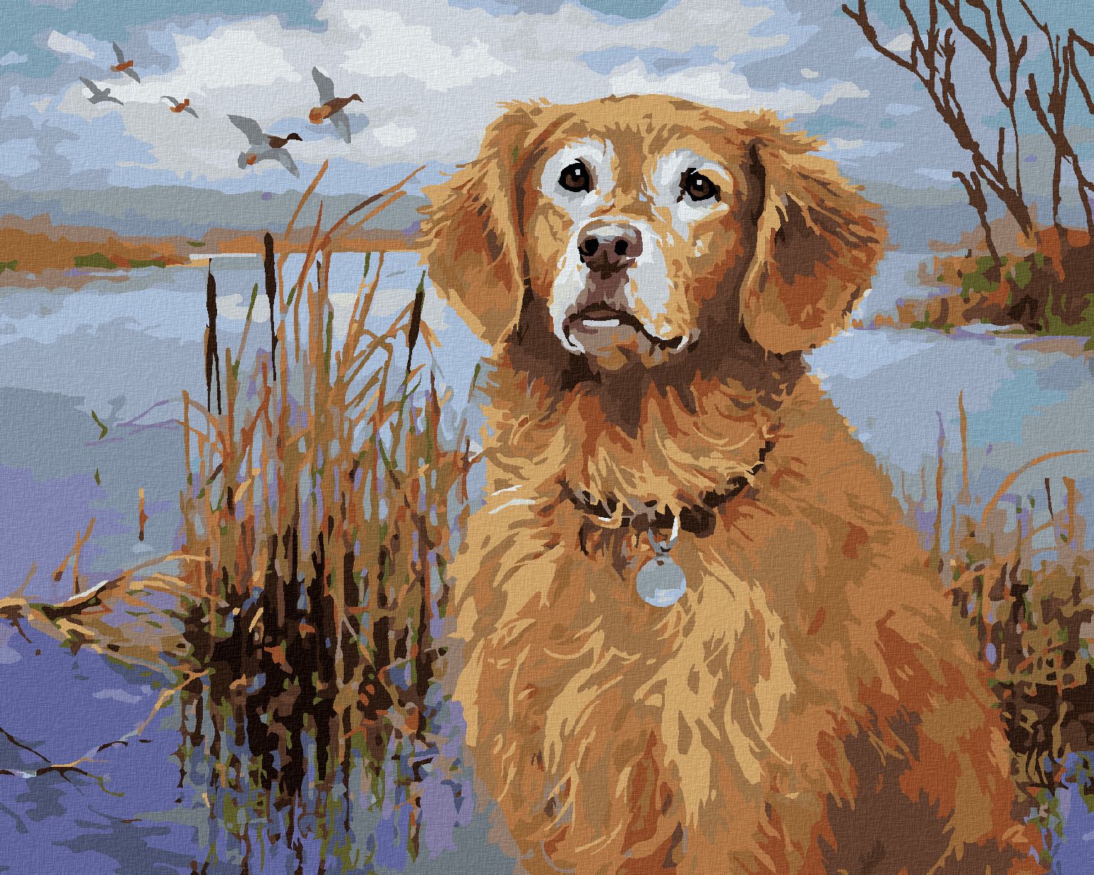 zuty Malování podle čísel - ZLATÝ RETRÍVR U RYBNÍKU A KACHNY (JIM KILLEN) - Rozměr: 40x50 cm, Rámování: Varianta: vypnuté plátno na rám - obrázek 1