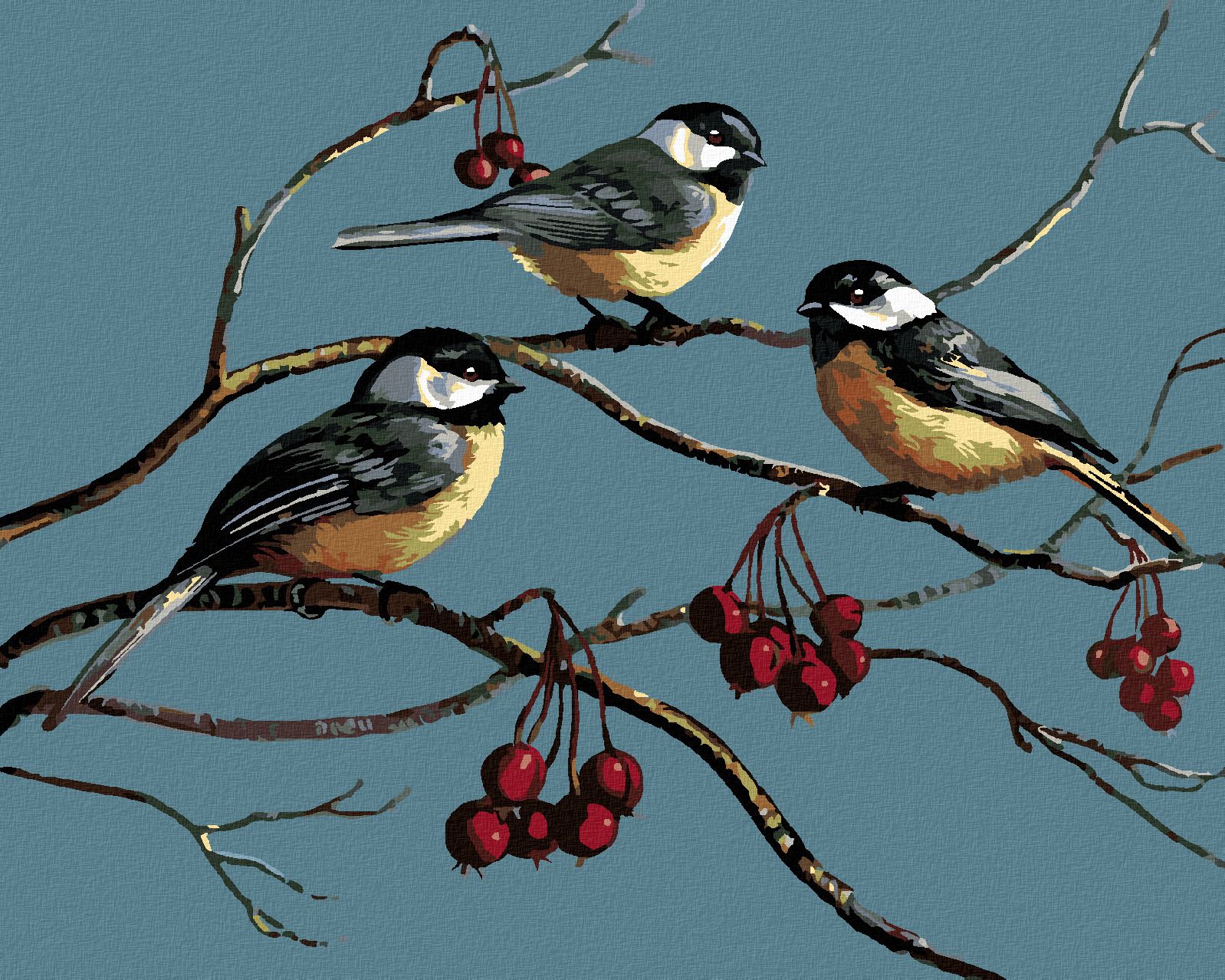 zuty Malování podle čísel - SÝKORKY NA VĚTVI A ZIMNÍ PLODY (JAMES MEGER) - Rozměr: 40x50 cm, Rámování: Varianta: bez rámu a bez vypnutí plátna - obrázek 1