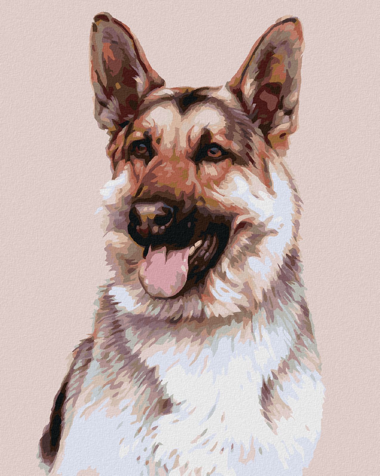 zuty Malování podle čísel - NĚMECKÝ OVČÁK (JIM KILLEN) - Rozměr: 40x50 cm, Rámování: Varianta: bez rámu a bez vypnutí plátna - obrázek 1