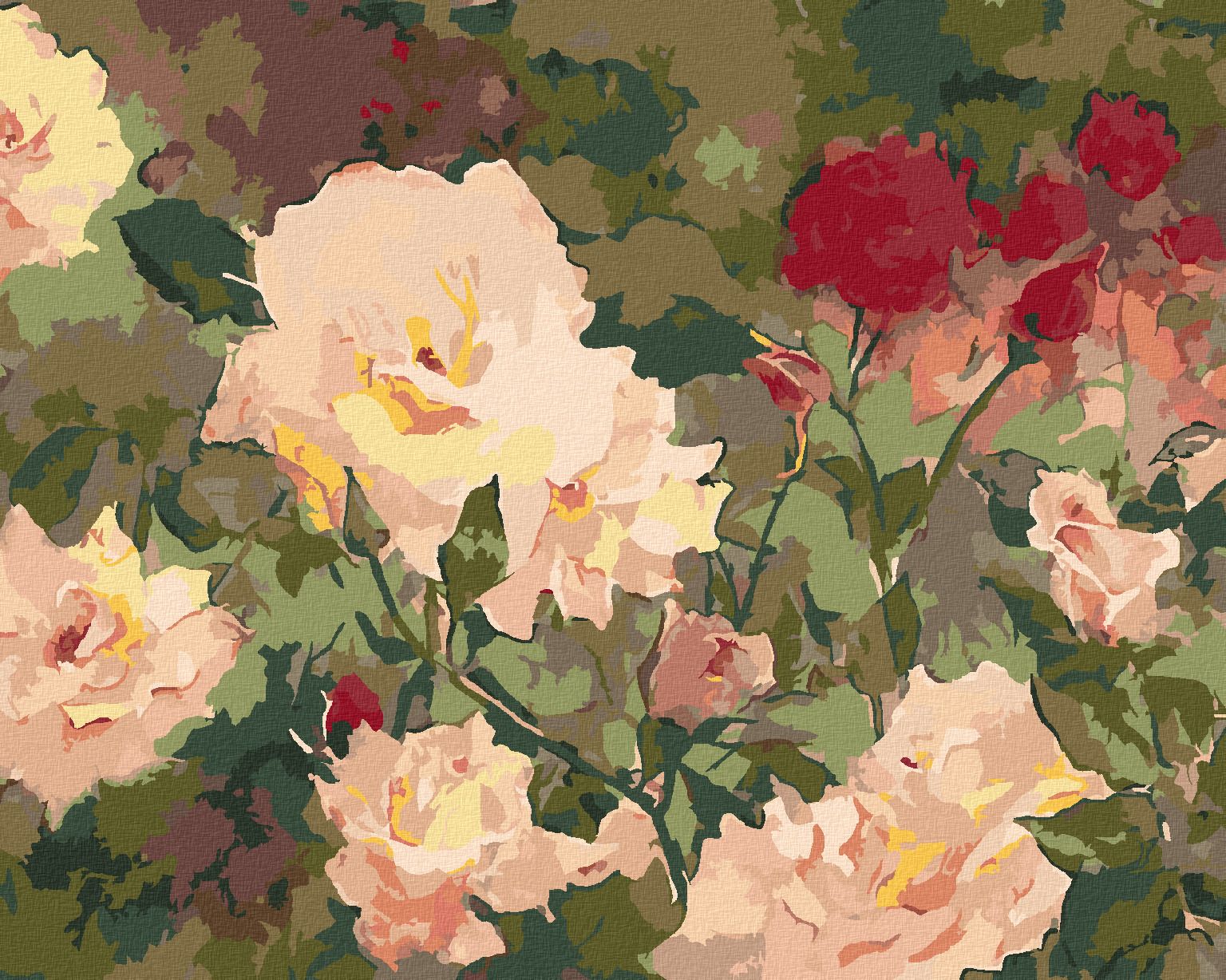 zuty Malování podle čísel – BÍLÉ A ČERVENÉ RŮŽE (JUDY BUSWELL) - Rozměr: 40x50 cm, Rámování: Varianta: bez rámu a bez vypnutí plátna - obrázek 1