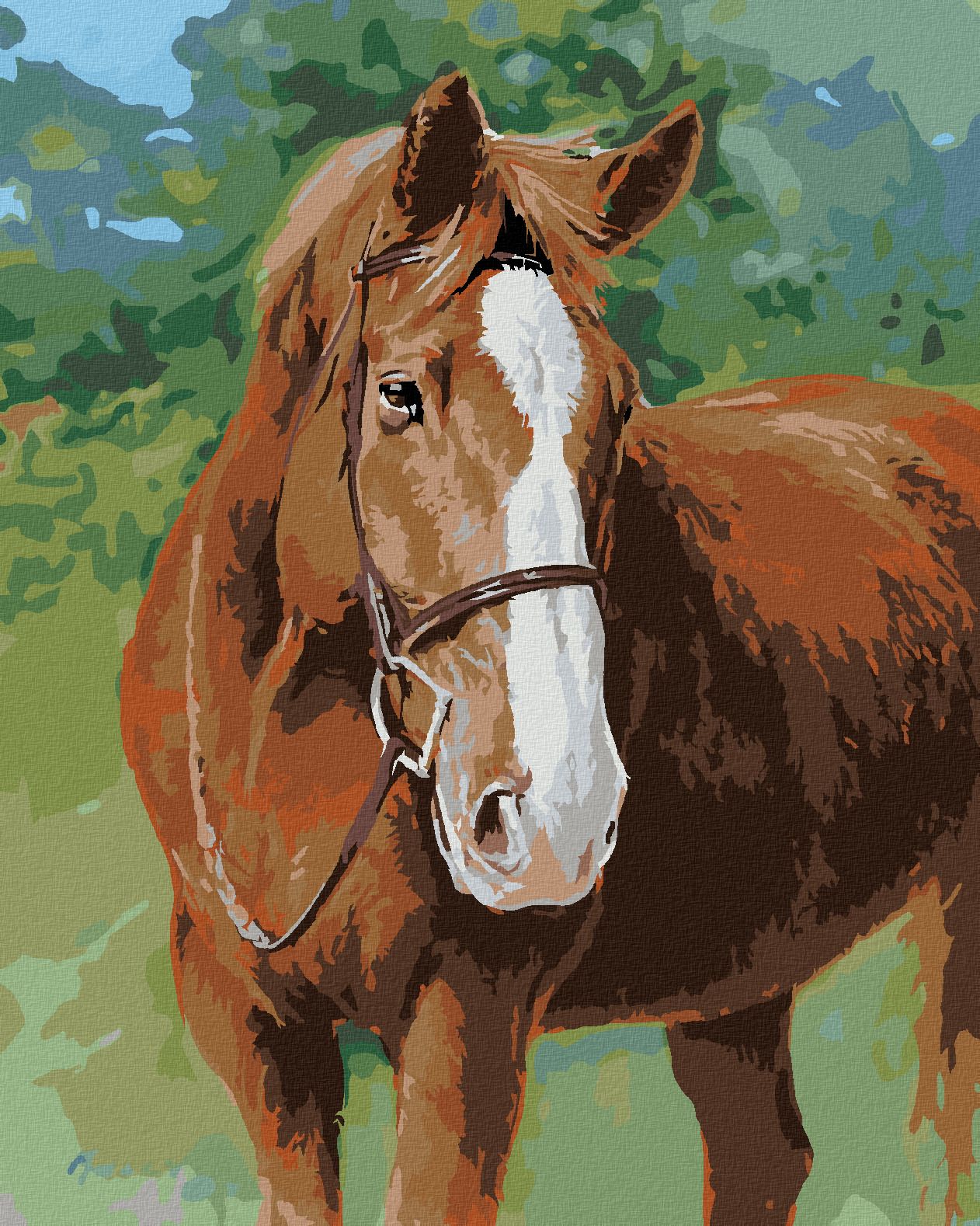 zuty Malování podle čísel – REZAVÝ KŮŇ S UZDEČKOU (JIM KILLEN) - Rozměr: 40x50 cm, Rámování: Varianta: vypnuté plátno na rám - obrázek 1