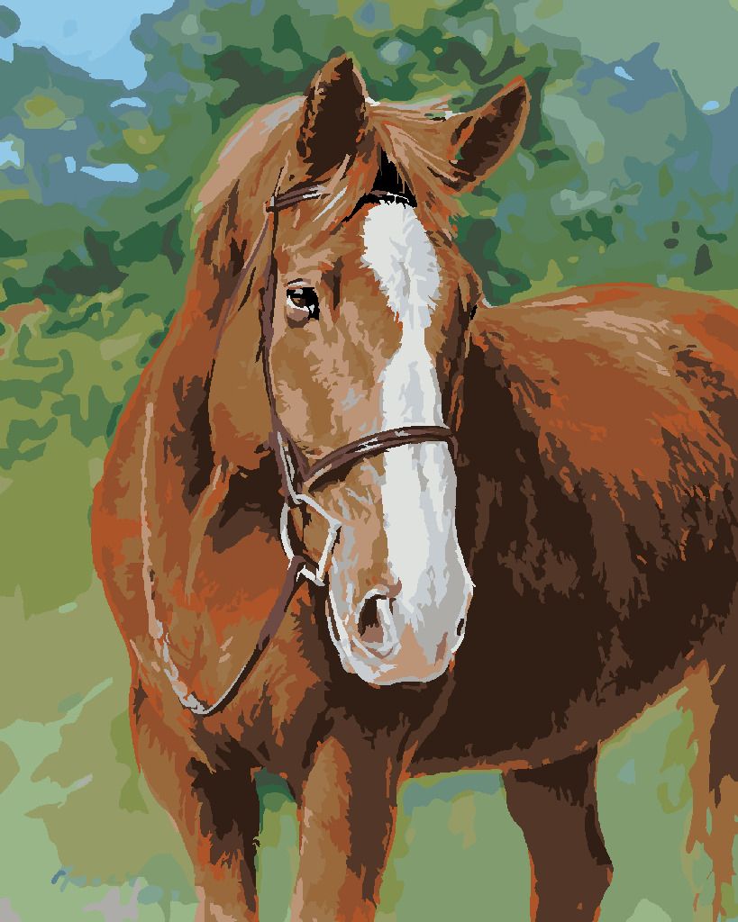 zuty Malování podle čísel – REZAVÝ KŮŇ S UZDEČKOU (JIM KILLEN) - Rozměr: 40x50 cm, Rámování: Varianta: vypnuté plátno na rám - obrázek 6