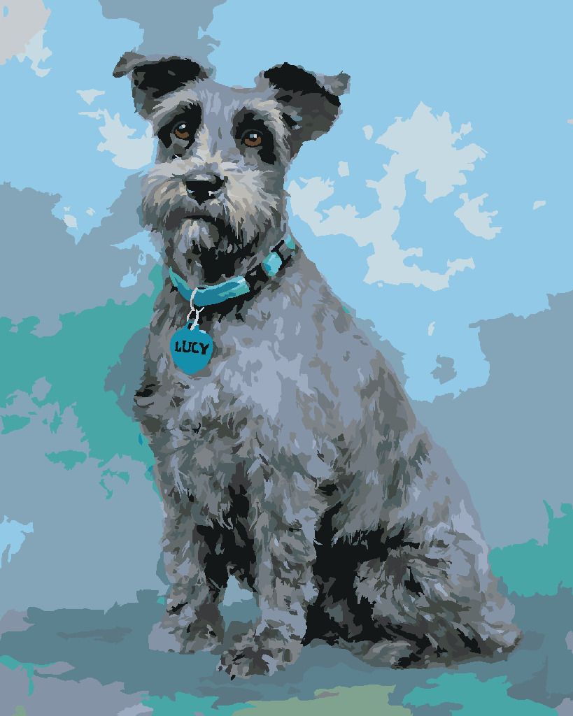 zuty Malování podle čísel – KNÍRAČ S MODRÝM OBOJKEM (JIM KILLEN) - Rozměr: 40x50 cm, Rámování: Varianta: bez rámu a bez vypnutí plátna - obrázek 6