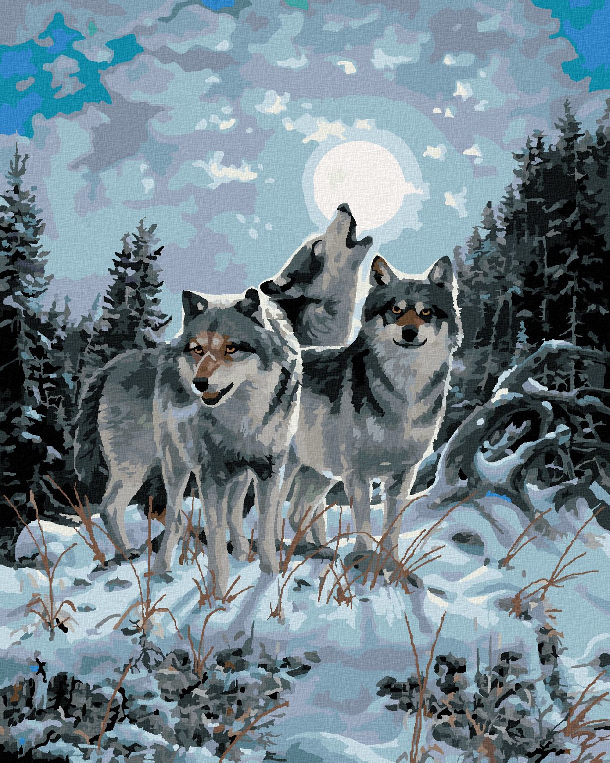 zuty Malování podle čísel - VLČÍ SMEČKA PŘI ÚPLŇKU (NORTHERN PROMOTIONS) - Rozměr: 40x50 cm, Rámování: Varianta: vypnuté plátno na rám - obrázek 1