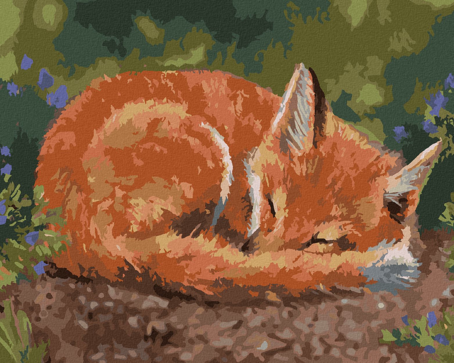 zuty Malování podle čísel – SPÍCÍ LIŠKA (VICTORIA SCHULTZ) - Rozměr: 40x50 cm, Rámování: Varianta: vypnuté plátno na rám - obrázek 1