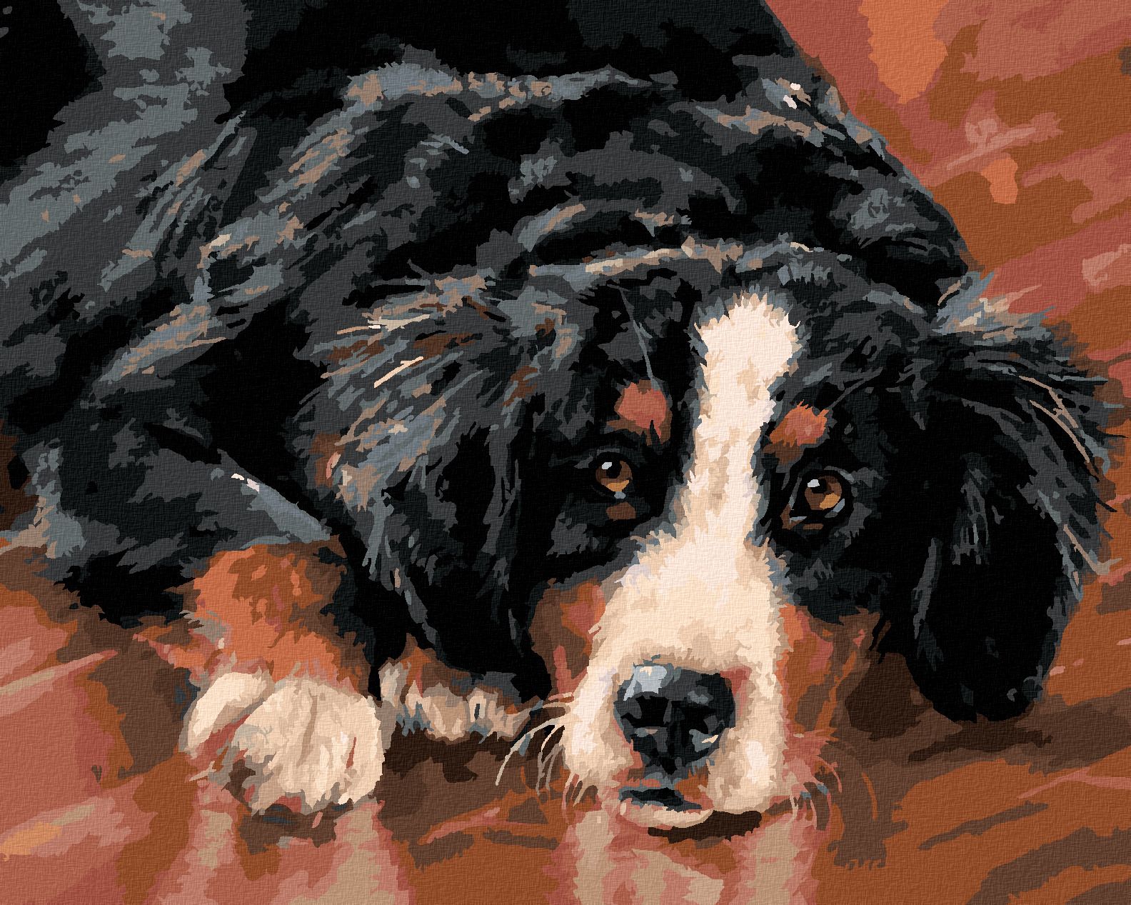 zuty Malování podle čísel – BERNSKÝ SALAŠNICKÝ PES (VICTORIA SCHULTZ) - Rozměr: 40x50 cm, Rámování: Varianta: bez rámu a bez vypnutí plátna - obrázek 1