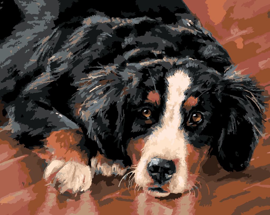 zuty Malování podle čísel – BERNSKÝ SALAŠNICKÝ PES (VICTORIA SCHULTZ) - Rozměr: 40x50 cm, Rámování: Varianta: bez rámu a bez vypnutí plátna - obrázek 4