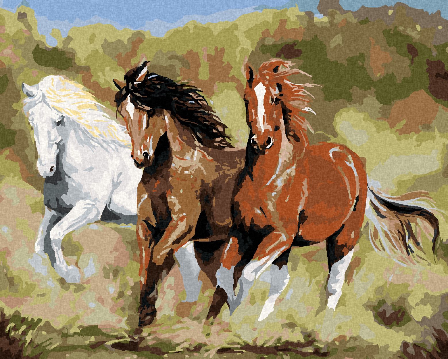 zuty Malování podle čísel – KONĚ V BĚHU (VICTORIA SCHULTZ) - Rozměr: 40x50 cm, Rámování: Varianta: vypnuté plátno na rám - obrázek 1