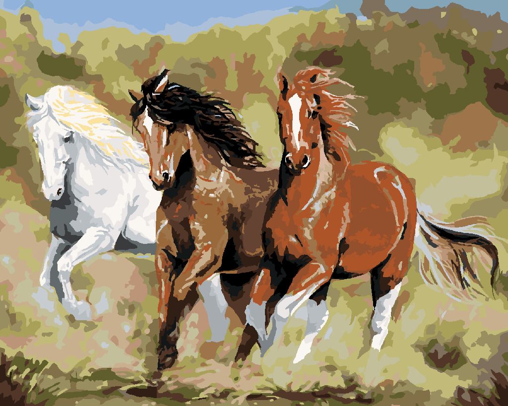 zuty Malování podle čísel – KONĚ V BĚHU (VICTORIA SCHULTZ) - Rozměr: 40x50 cm, Rámování: Varianta: vypnuté plátno na rám - obrázek 9