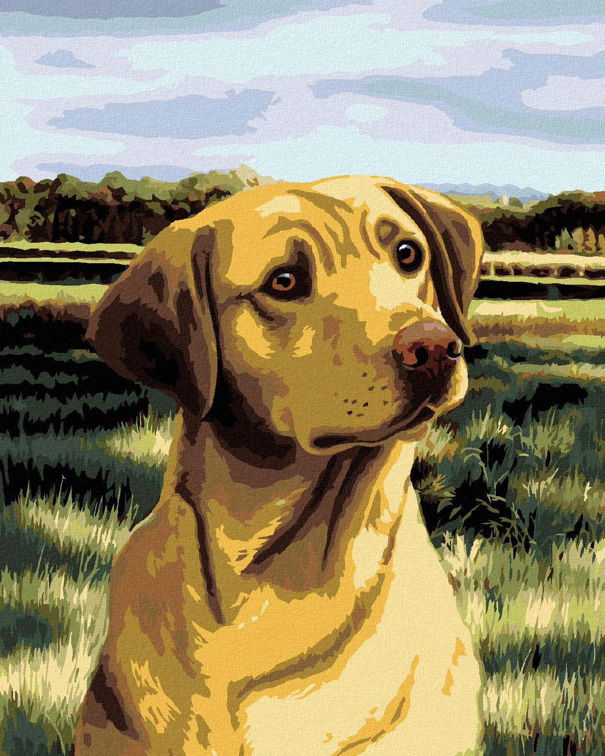 zuty Malování podle čísel – LABRADOR V POLI (NORTHERN PROMOTIONS) - Rozměr: 40x50 cm, Rámování: Varianta: bez rámu a bez vypnutí plátna - obrázek 1