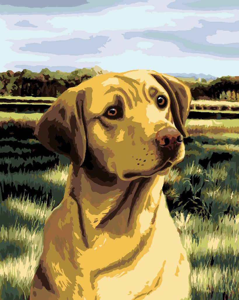 zuty Malování podle čísel – LABRADOR V POLI (NORTHERN PROMOTIONS) - Rozměr: 40x50 cm, Rámování: Varianta: bez rámu a bez vypnutí plátna - obrázek 8