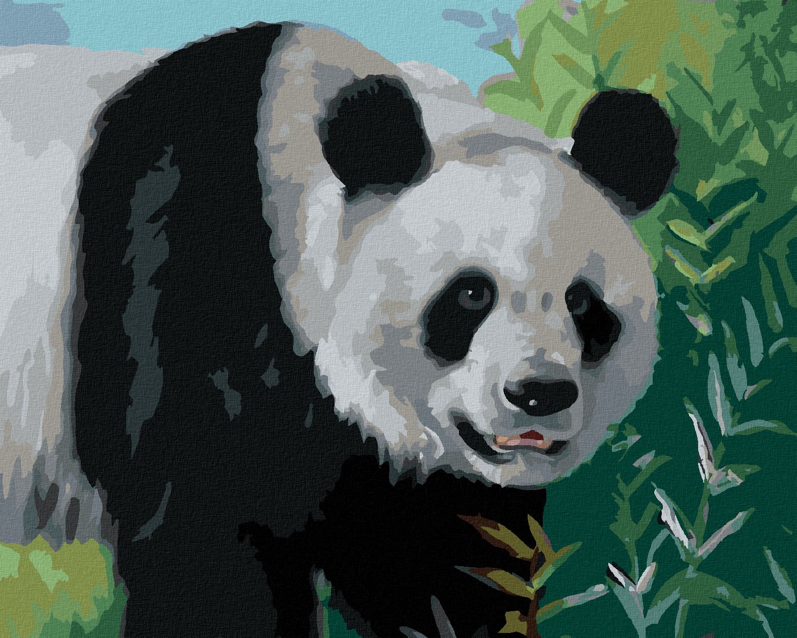 zuty Malování podle čísel - PANDA (D. RUSTY RUST) - Rozměr: 40x50 cm, Rámování: Varianta: vypnuté plátno na rám - obrázek 1