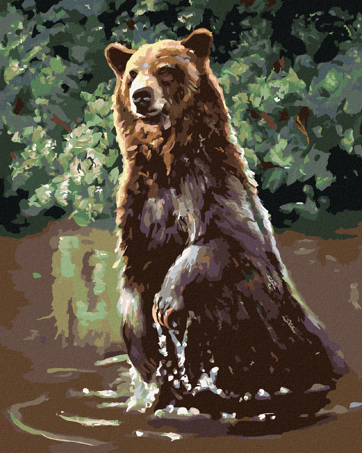 zuty Malování podle čísel - MEDVĚD VE VODĚ (D. RUSTY RUST) - Rozměr: 40x50 cm, Rámování: Varianta: vypnuté plátno na rám - obrázek 1