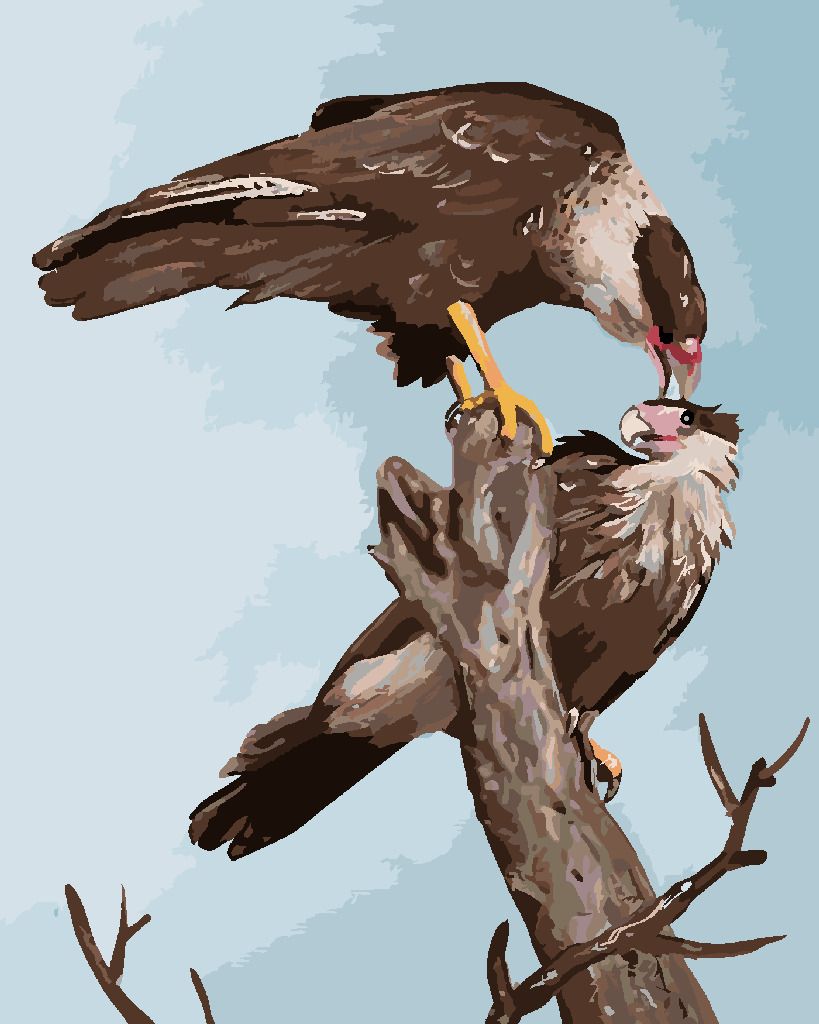zuty Malování podle čísel - SUP NA STROMĚ (D. RUSTY RUST) - Rozměr: 40x50 cm, Rámování: Varianta: bez rámu a bez vypnutí plátna - obrázek 8