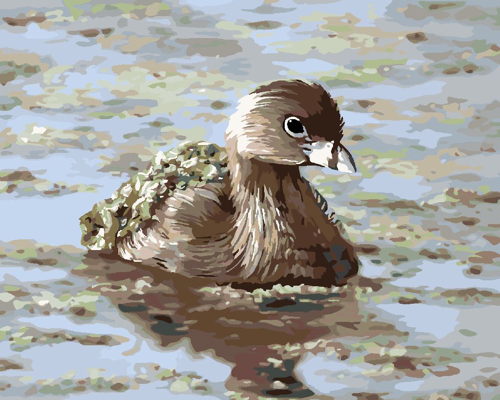 zuty Malování podle čísel - POTÁPKA (D. RUSTY RUST) - Rozměr: 40x50 cm, Rámování: Varianta: bez rámu a bez vypnutí plátna - obrázek 4