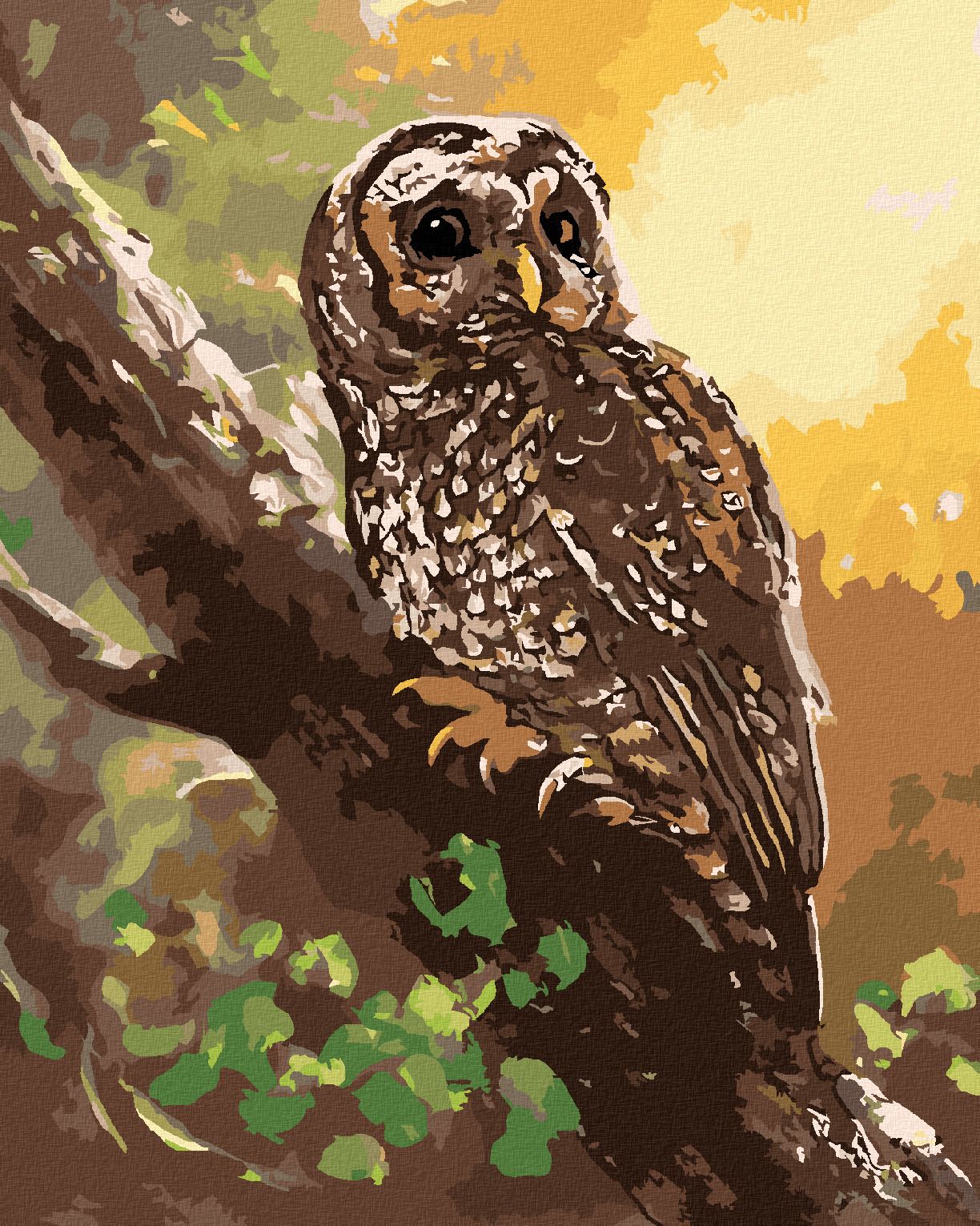zuty Malování podle čísel - SOVA NA STROMĚ (D. RUSTY RUST) - Rozměr: 40x50 cm, Rámování: Varianta: bez rámu a bez vypnutí plátna - obrázek 2