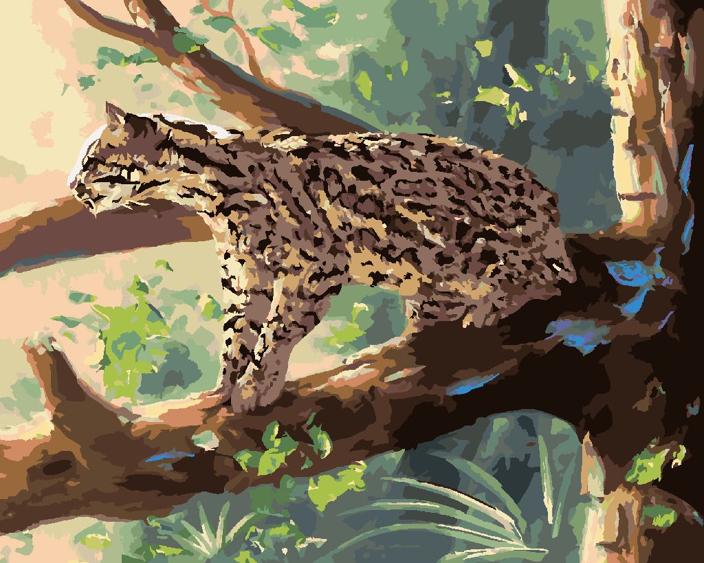 zuty Malování podle čísel - OCELOT SEDÍCÍ NA VĚTVI (D. RUSTY RUST) - Rozměr: 40x50 cm, Rámování: Varianta: vypnuté plátno na rám - obrázek 6