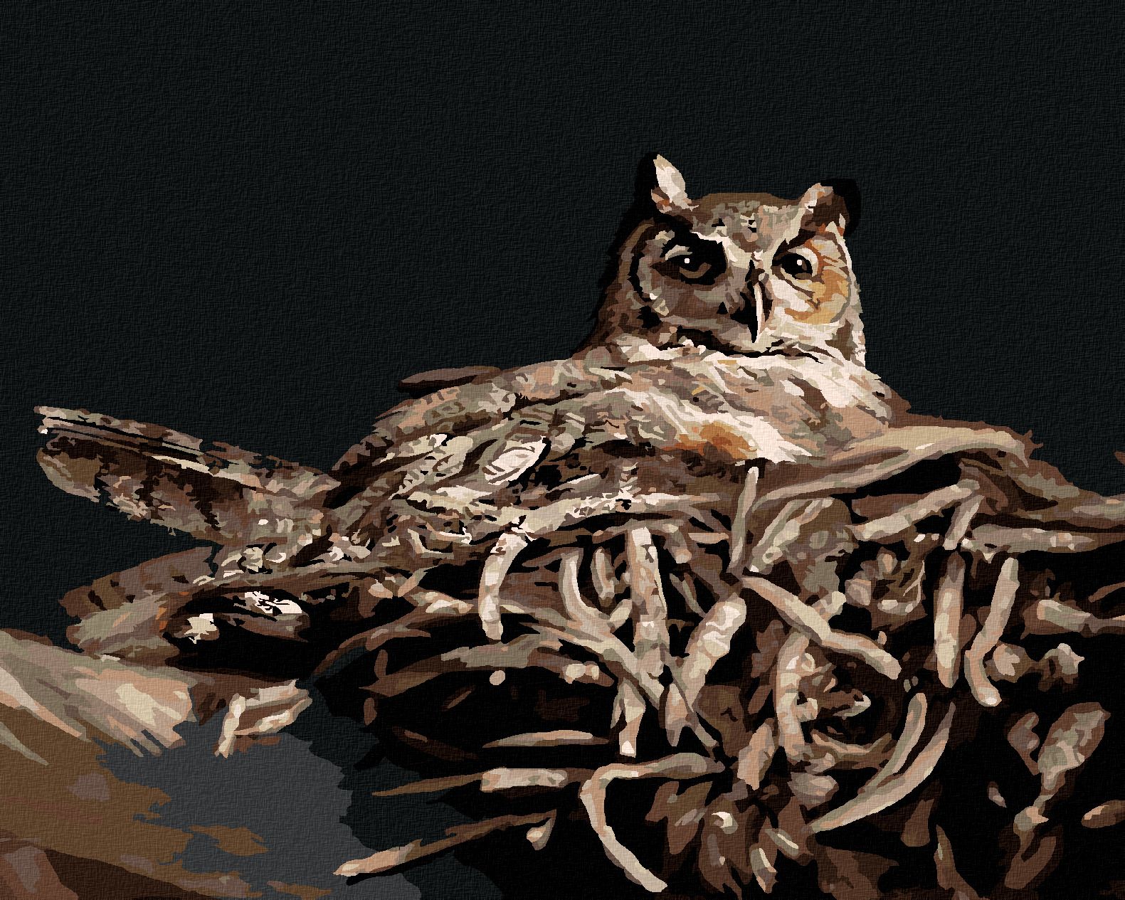 zuty Malování podle čísel - SOVA V HNÍZDĚ V NOCI (D. RUSTY RUST) - Rozměr: 40x50 cm, Rámování: Varianta: bez rámu a bez vypnutí plátna - obrázek 1