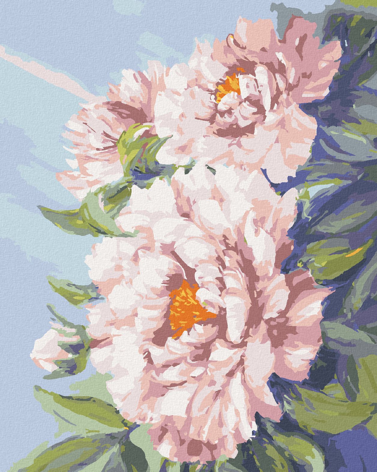zuty Malování podle čísel - KVĚTY RŮŽOVÉ PIVOŇKY - Rozměr: 40x50 cm, Rámování: Varianta: bez rámu a bez vypnutí plátna - obrázek 1