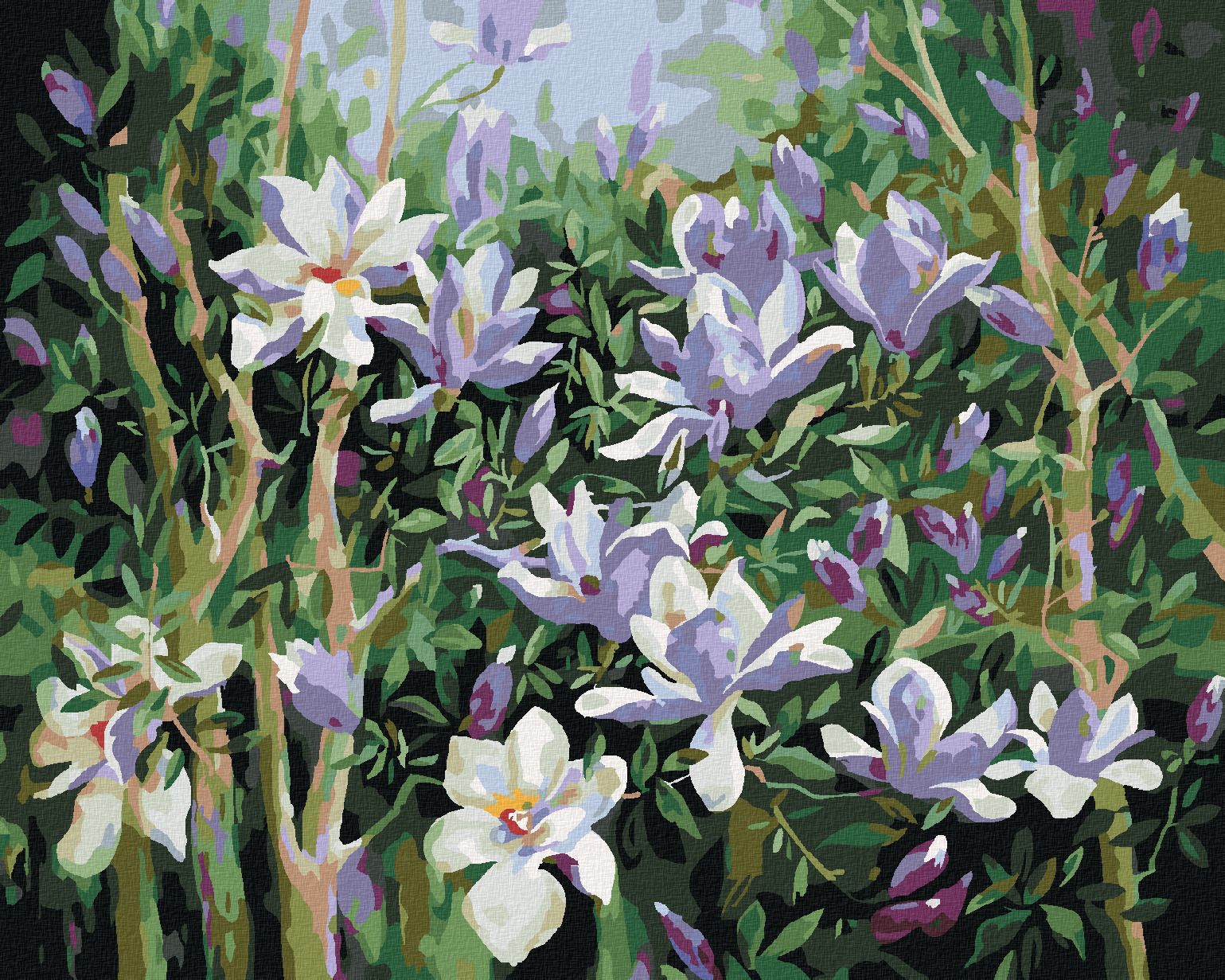 zuty Malování podle čísel - JARNÍ MAGNÓLIE - Rozměr: 40x50 cm, Rámování: Varianta: vypnuté plátno na rám - obrázek 1