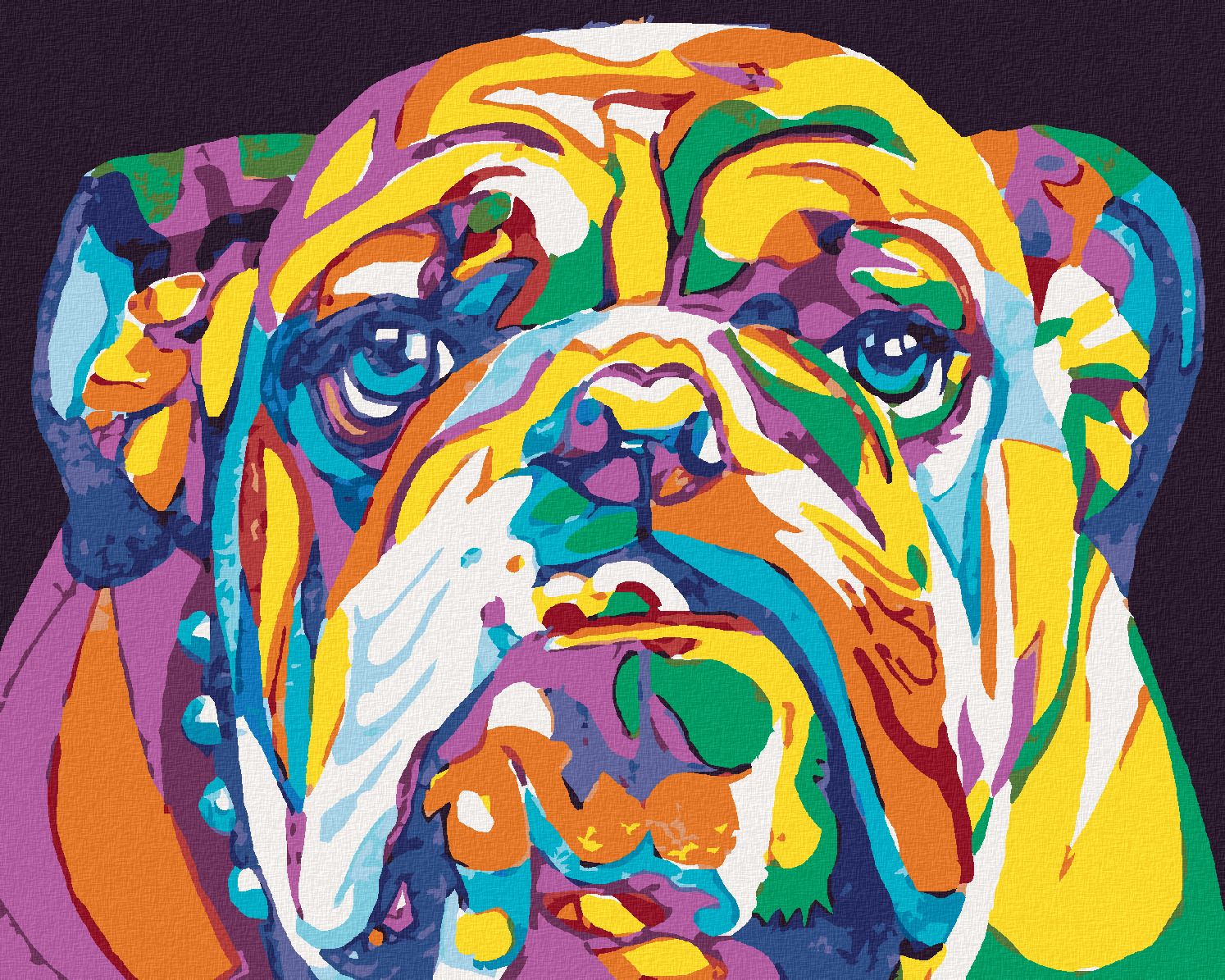 zuty Malování podle čísel - BAREVNÝ BULLDOG - Rozměr: 40x50 cm, Rámování: Varianta: vypnuté plátno na rám - obrázek 1