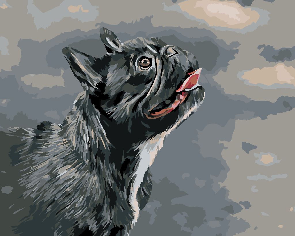 zuty Malování podle čísel - VZHLÍŽEJÍCÍ FRANCOUZSKÝ BULDOČEK - Rozměr: 40x50 cm, Rámování: Varianta: vypnuté plátno na rám - obrázek 2