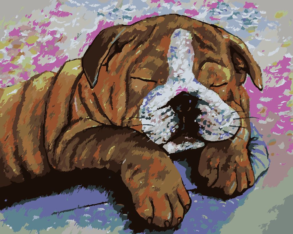 zuty Malování podle čísel - BULDOČEK V KRAVÍM PŘEVLEKU - Rozměr: 40x50 cm, Rámování: Varianta: vypnuté plátno na rám - obrázek 7