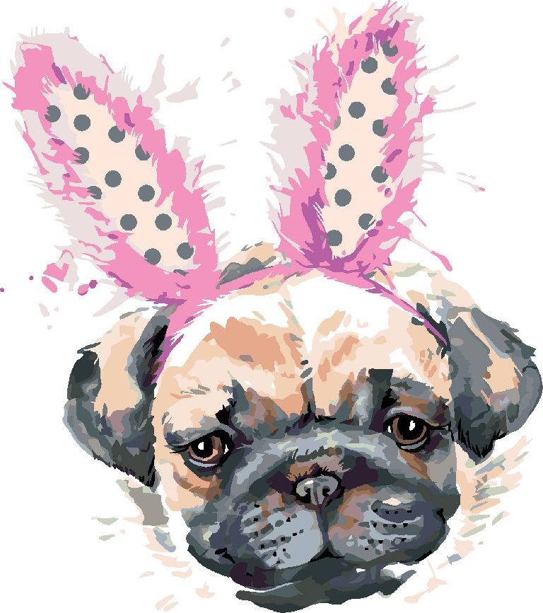 zuty Malování podle čísel - MOPS S ČELENKOU - Rozměr: 40x50 cm, Rámování: Varianta: vypnuté plátno na rám - obrázek 2