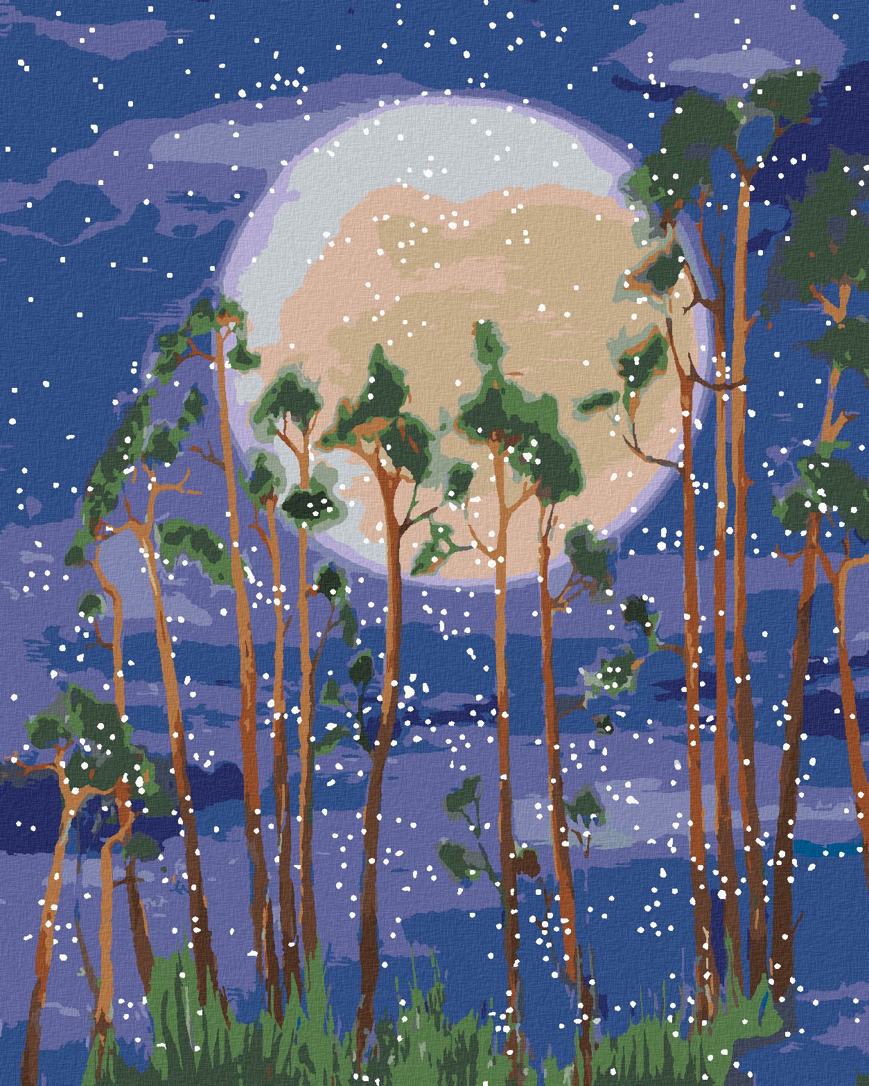 zuty Malování podle čísel - MĚSÍC ZA STROMY V LESE - Rozměr: 40x50 cm, Rámování: Varianta: bez rámu a bez vypnutí plátna - obrázek 1