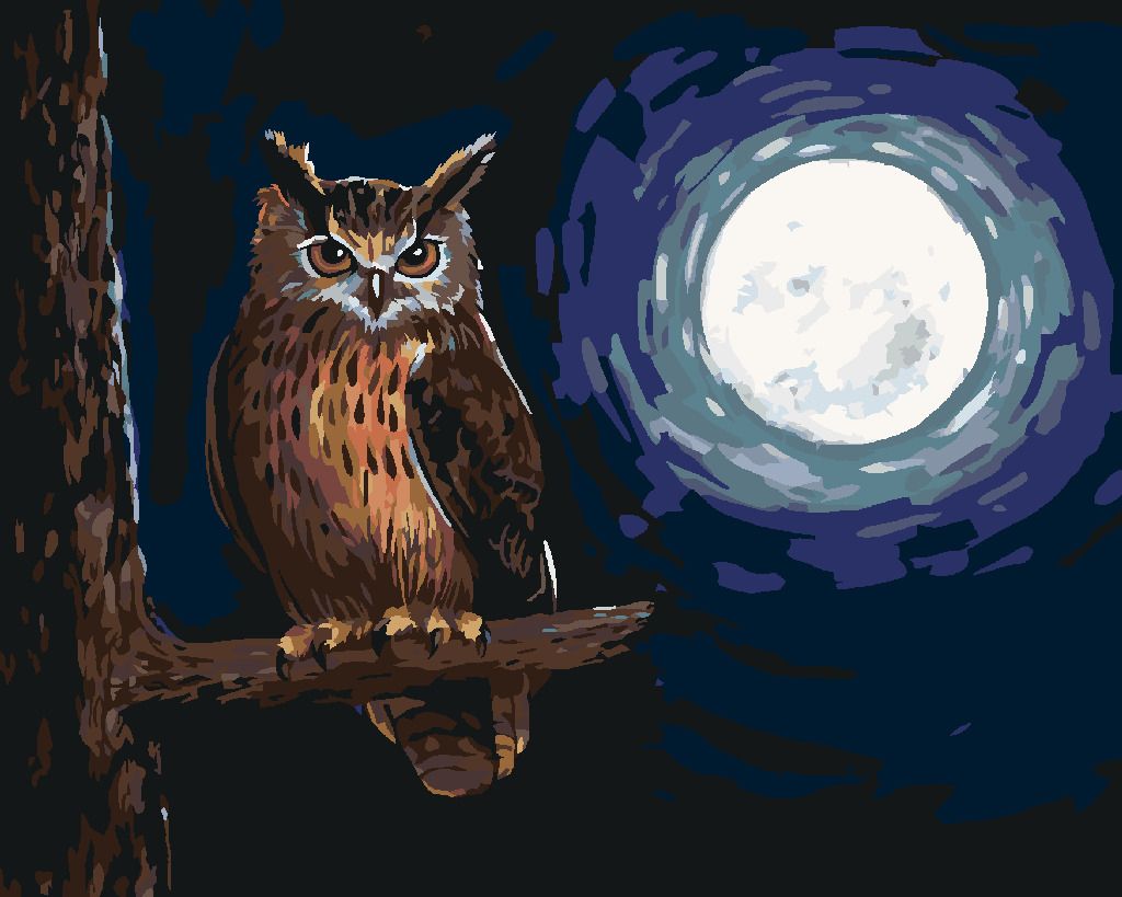 zuty Malování podle čísel - SOVA A SVIT MĚSÍCEv - Rozměr: 40x50 cm, Rámování: Varianta: vypnuté plátno na rám - obrázek 7