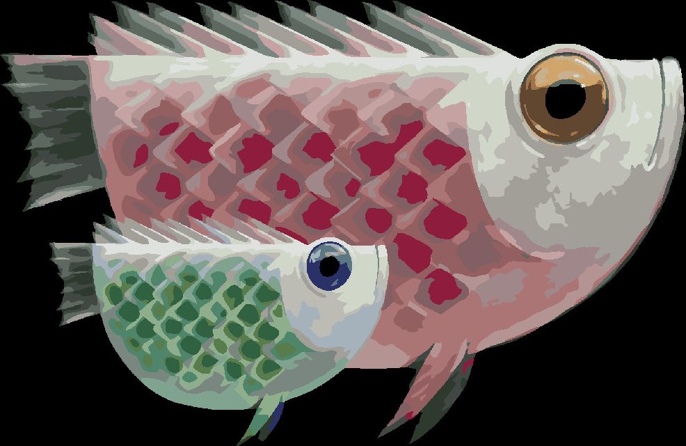 zuty Malování podle čísel - OBŘÍ RYBA A JEJÍ OBŘÍ MIMINKO - Rozměr: 40x50 cm, Rámování: Varianta: vypnuté plátno na rám - obrázek 5