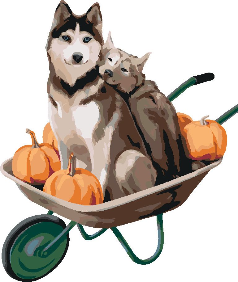 zuty Malování podle čísel - DVA HUSKY NA KOLEČKÁCH - Rozměr: 40x50 cm, Rámování: Varianta: bez rámu a bez vypnutí plátna - obrázek 3