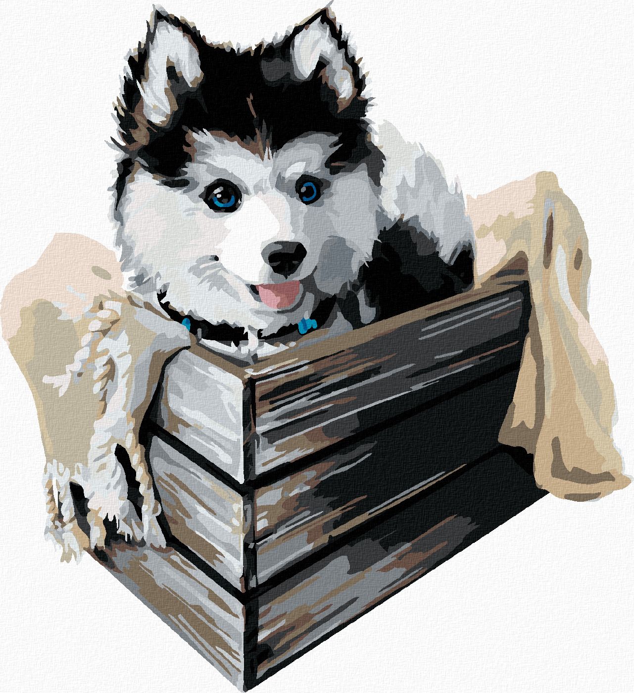 zuty Malování podle čísel - HUSKY V KRABICI - Rozměr: 40x50 cm, Rámování: Varianta: vypnuté plátno na rám - obrázek 1