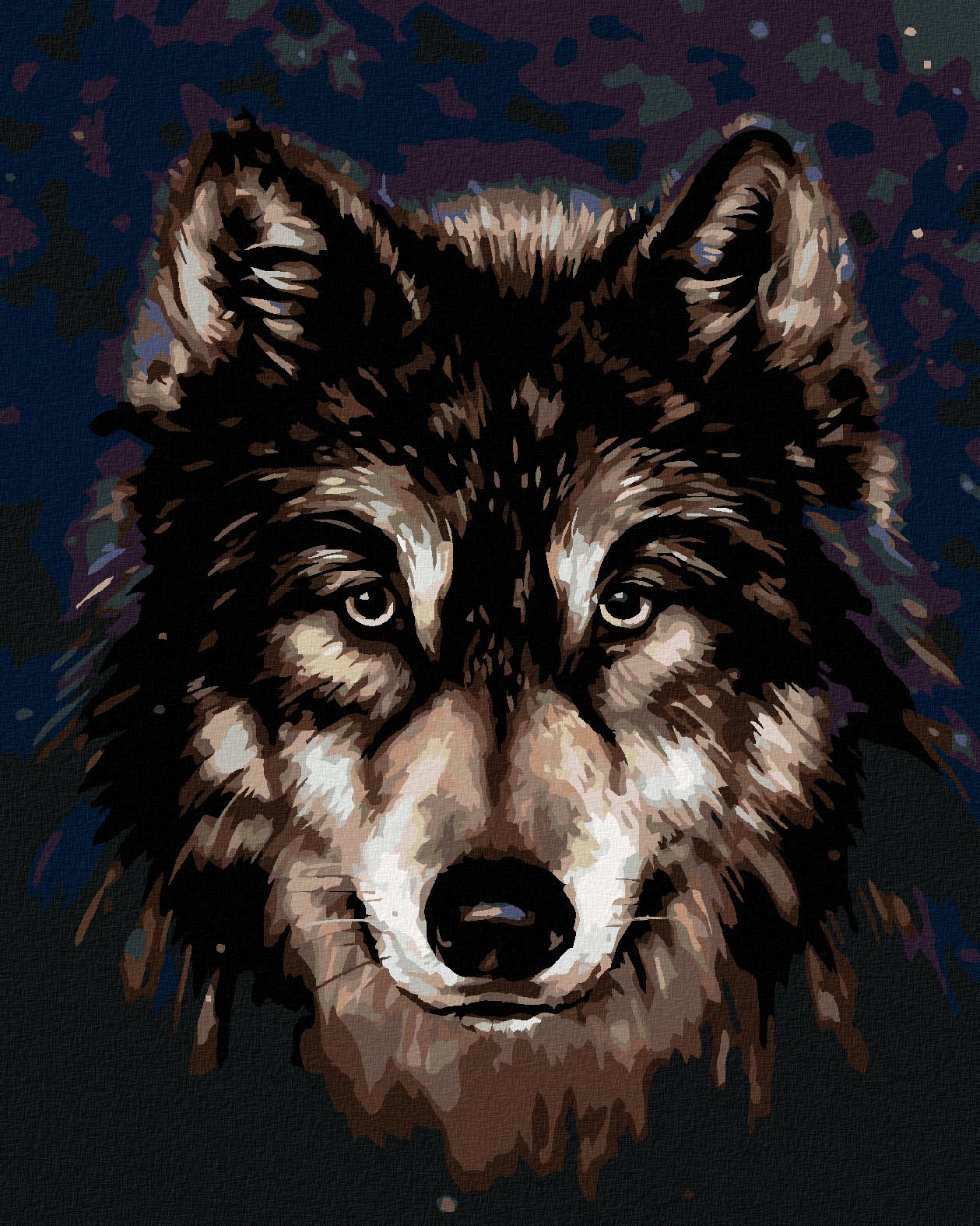 zuty Malování podle čísel - HLAVA HUSKYHO NA TMAVÉM POZADÍ - Rozměr: 40x50 cm, Rámování: Varianta: bez rámu a bez vypnutí plátna - obrázek 1