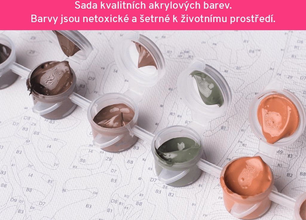 zuty Malování podle čísel - BAREVNÁ ABSTRAKTNÍ RYBA - Rozměr: 40x50 cm, Rámování: Varianta: vypnuté plátno na rám - obrázek 6