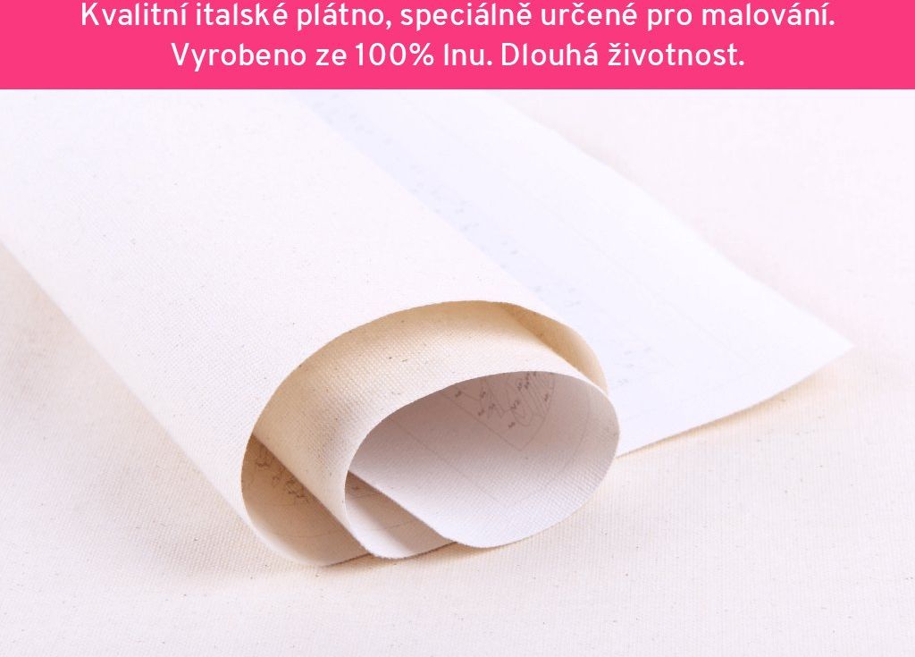 zuty Malování podle čísel - BAREVNÁ ABSTRAKTNÍ RYBA - Rozměr: 40x50 cm, Rámování: Varianta: vypnuté plátno na rám - obrázek 7