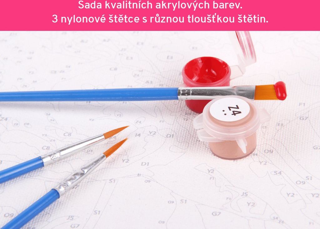 zuty Malování podle čísel - BAREVNÁ ABSTRAKTNÍ RYBA - Rozměr: 40x50 cm, Rámování: Varianta: vypnuté plátno na rám - obrázek 9