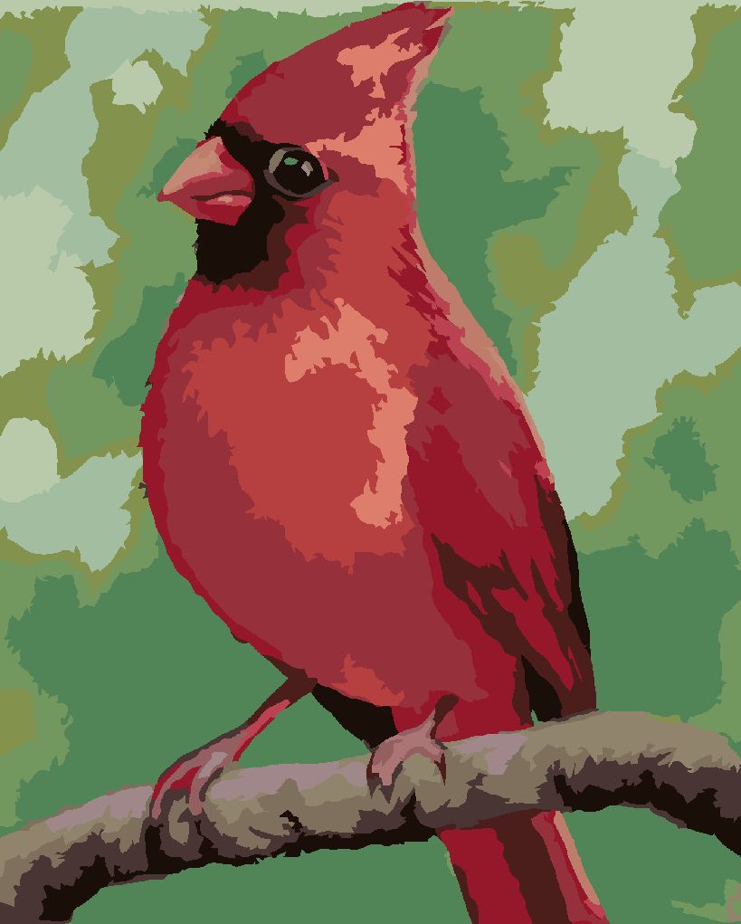 zuty Malování podle čísel - ČERVENÝ PTÁČEK (MYROSLAVA VOLOSCHUK) - Rozměr: 40x50 cm, Rámování: Varianta: bez rámu a bez vypnutí plátna - obrázek 3