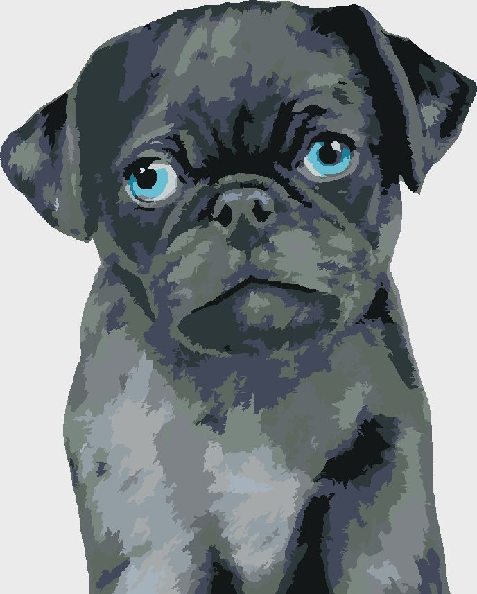 zuty Malování podle čísel - MOPSÍK (MYROSLAVA VOLOSCHUK) - Rozměr: 40x50 cm, Rámování: Varianta: bez rámu a bez vypnutí plátna - obrázek 10