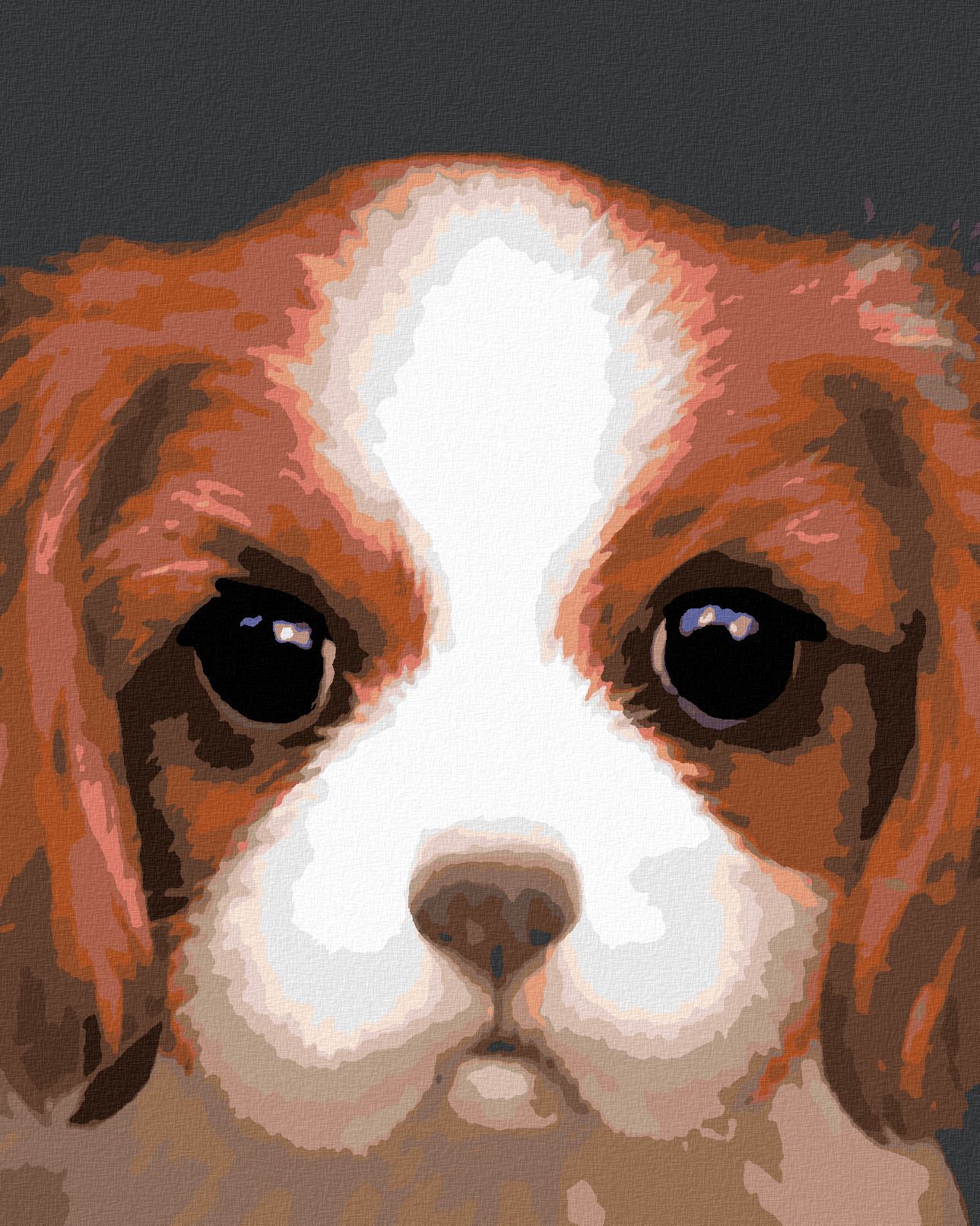 zuty Malování podle čísel - PES - KAVALÍR KING CHARLES ŠPANĚL (MYROSLAVA VOLOSCHUK) - Rozměr: 40x50 cm, Rámování: Varianta: vypnuté plátno na rám - obrázek 1